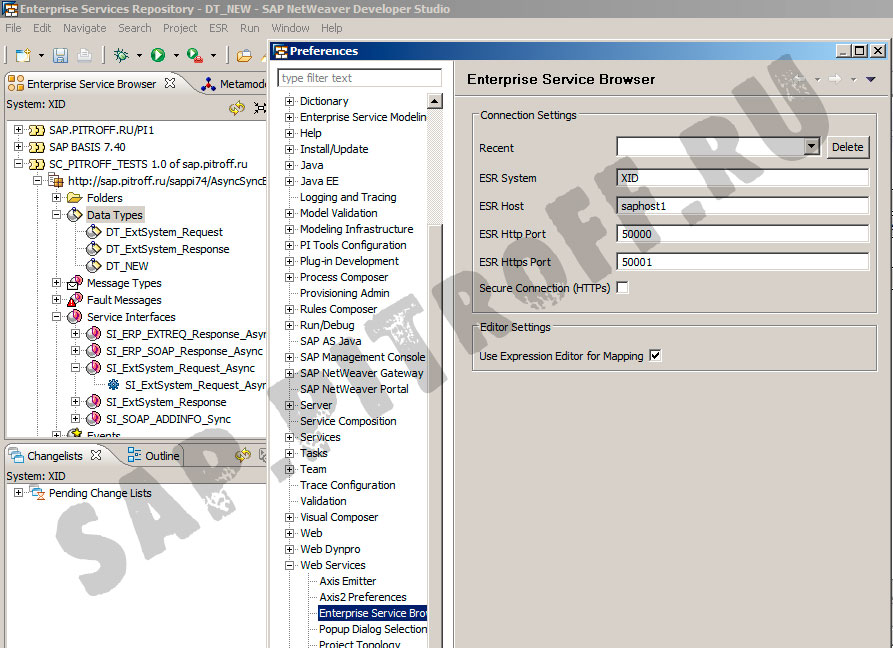 Рис.1: Настройки подключения SAP PI к NWDS